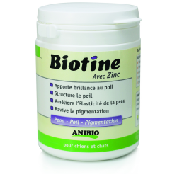 Biotine avec Zinc 140 grs
