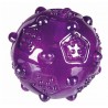 balle-tpr-7-cm-violet-trixie-lyon