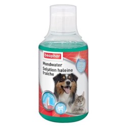 Solution haleine fraîche chien/chat Mondwater 250 ml