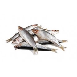 Barf Lyon : poissons Sprats séparés 1 kg
