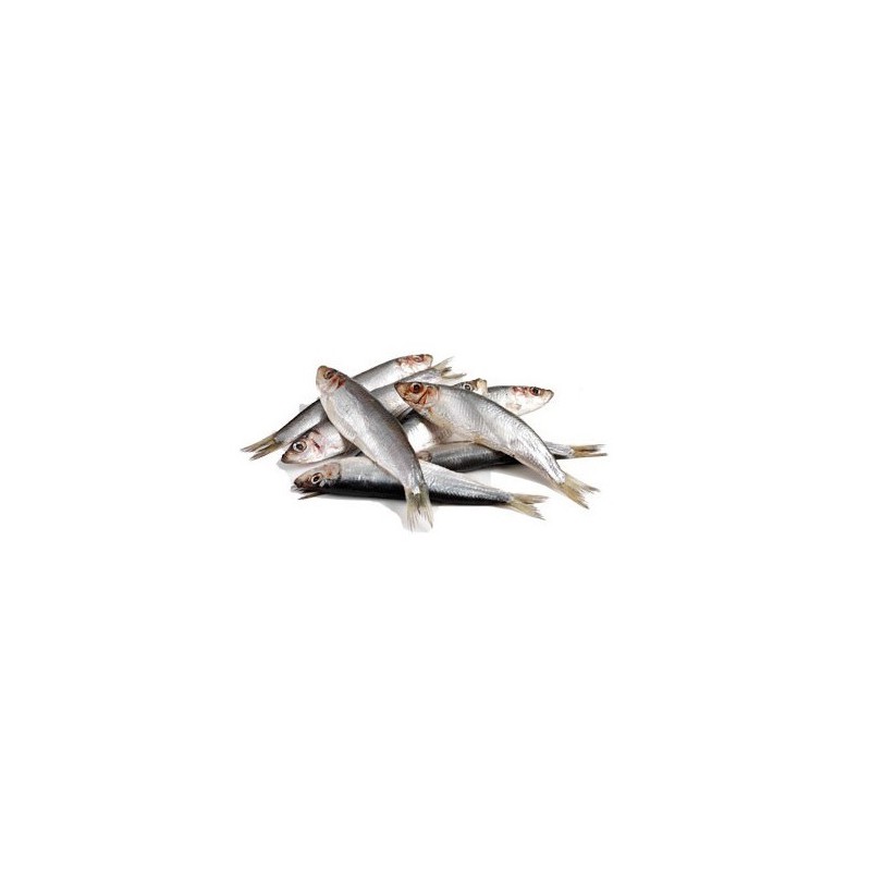 Barf Lyon : poissons Sprats séparés 1 kg