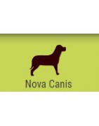 Nova Canis